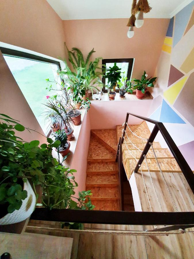 קזבגי ---Allegria House--- מראה חיצוני תמונה